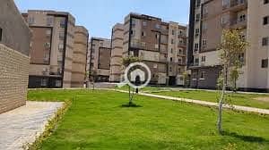 3 6f3f1a62-bb5d-451e-9083-87bb25caa431. jpg