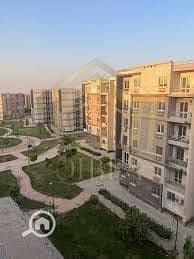 8 35d9218a-8a69-4935-aa44-44d6d9c2e3d3. jpg