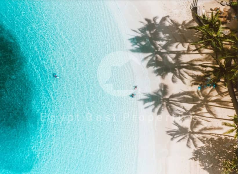 2 IMG-20250220-WA0072. jpg