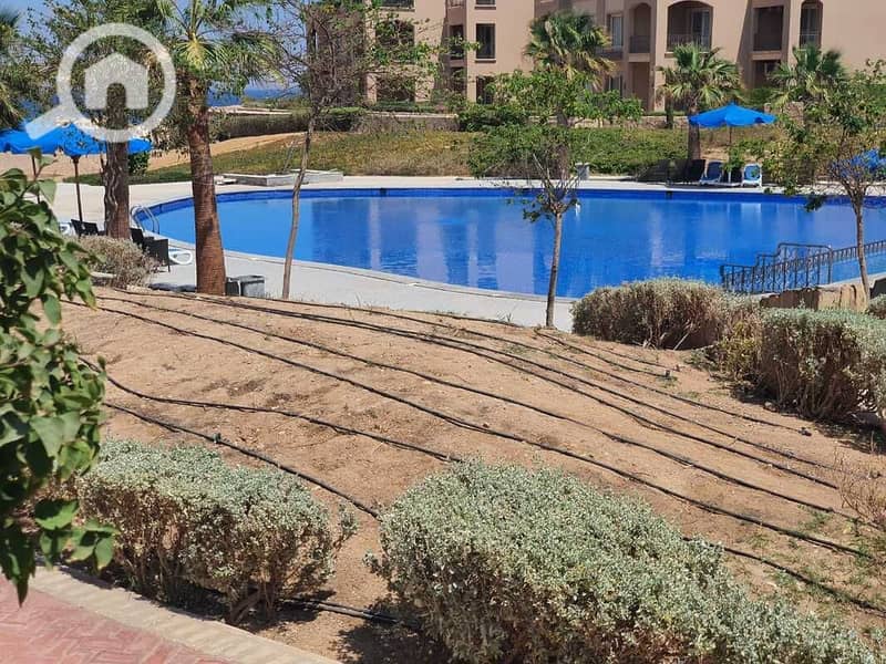 3 IMG-20251215-WA0003. jpg