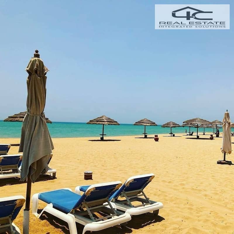 12 WhatsApp Image 2024-05-02 at 3.46. 47 PM (1). jpeg