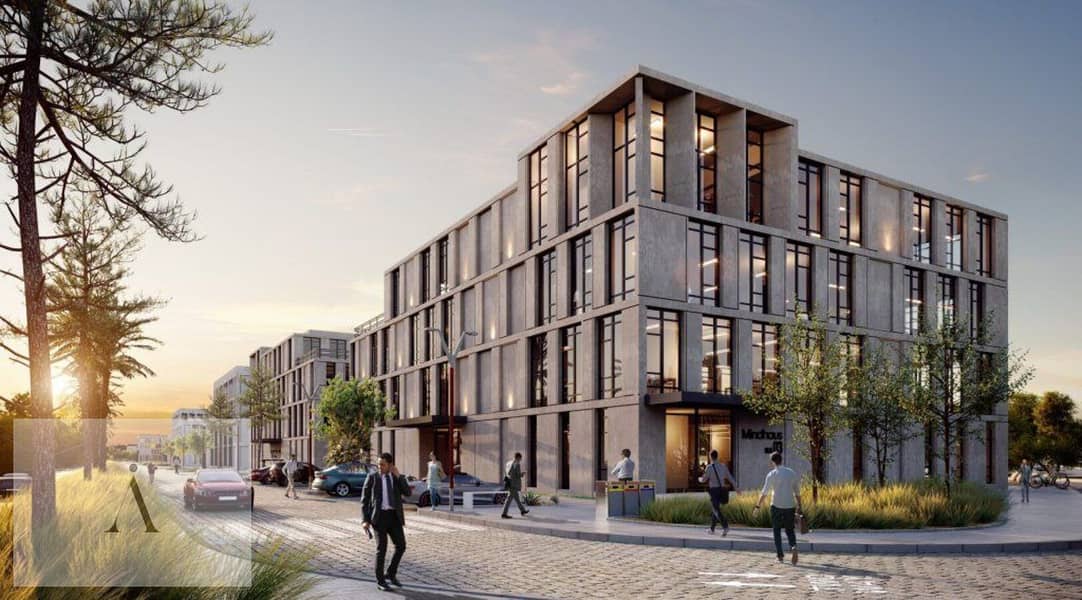 4 photo_2025-01-28_16-22-00. jpg