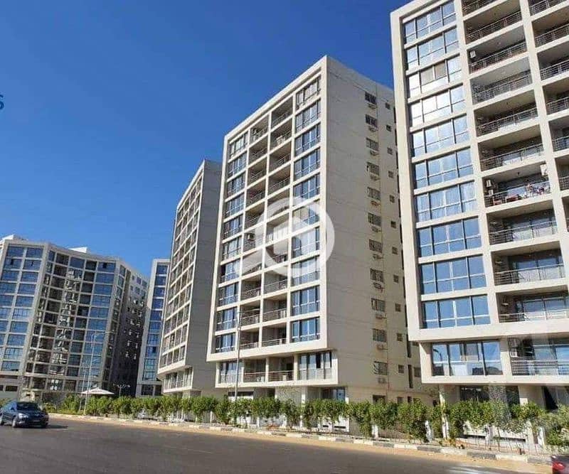 29 oneresize (5). jpg