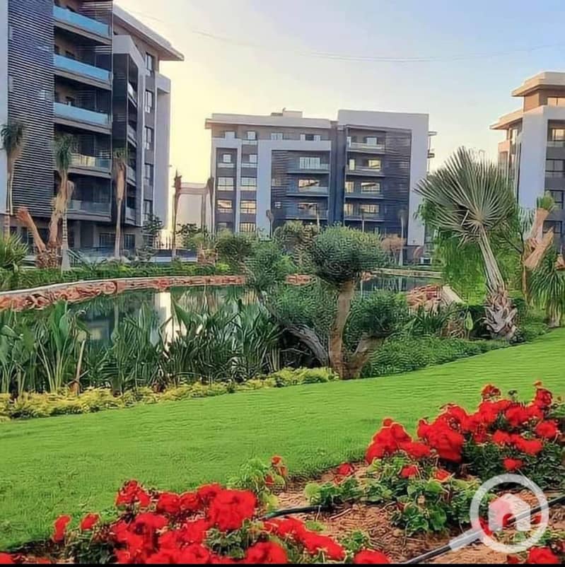 11 385811189_24207587198857241_5713842707658060327_n. jpg