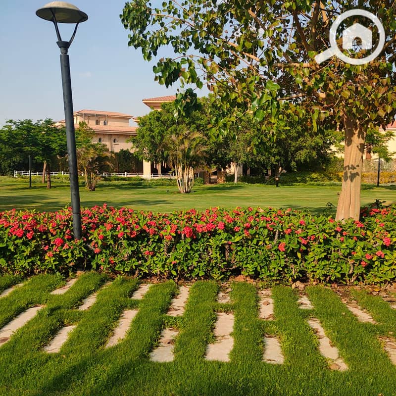 4 06694a7e-3c42-43b4-8f46-71dc4371a429. jpg