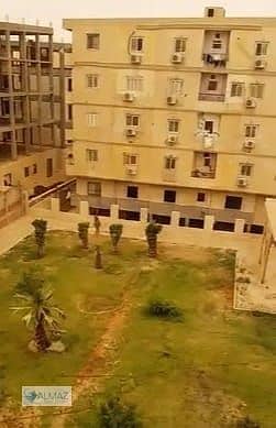 4 WhatsApp Image 2025-12-15 at 1.19. 32 PM (1). jpeg