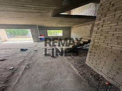 4 WhatsApp Image 2025-12-15 at 10.25. 39 AM. jpeg