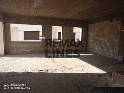 5 WhatsApp Image 2025-12-15 at 10.25. 41 AM. jpeg