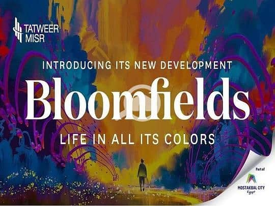 6e901568-6ac5-11ef-9110-e2ddfd09f73d. jpeg 6e901568-6ac5-11ef-9110-e2ddfd09f73d. jpeg