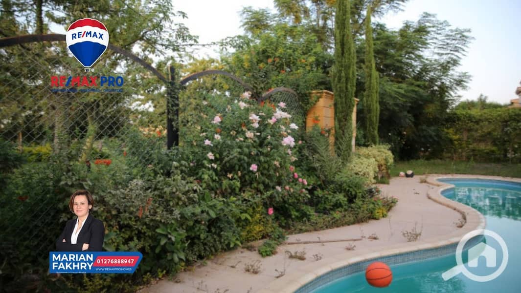 7 8a1d164d-3eb8-4a13-b46c-32d065d5e29e. jpeg