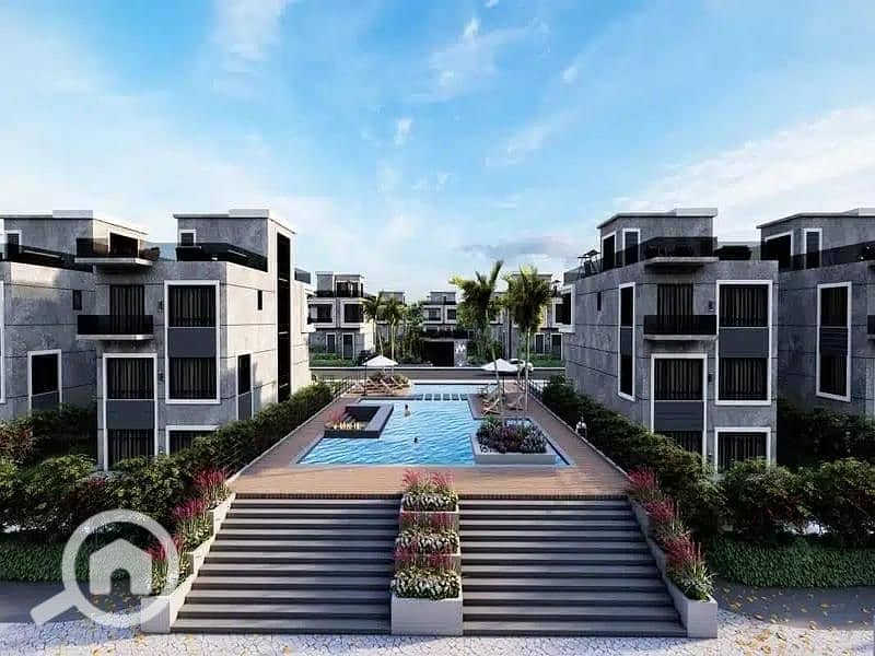 4 Yamour-New-Zayed-4. jpg