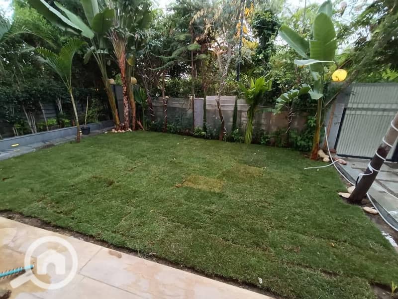 2 12087c62-485a-4063-a72a-d12dbb3641f3. jpeg