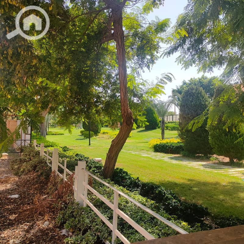 15 صورة واتساب بتاريخ 1446-03-13 في 14.19. 43_d00890cd. jpg