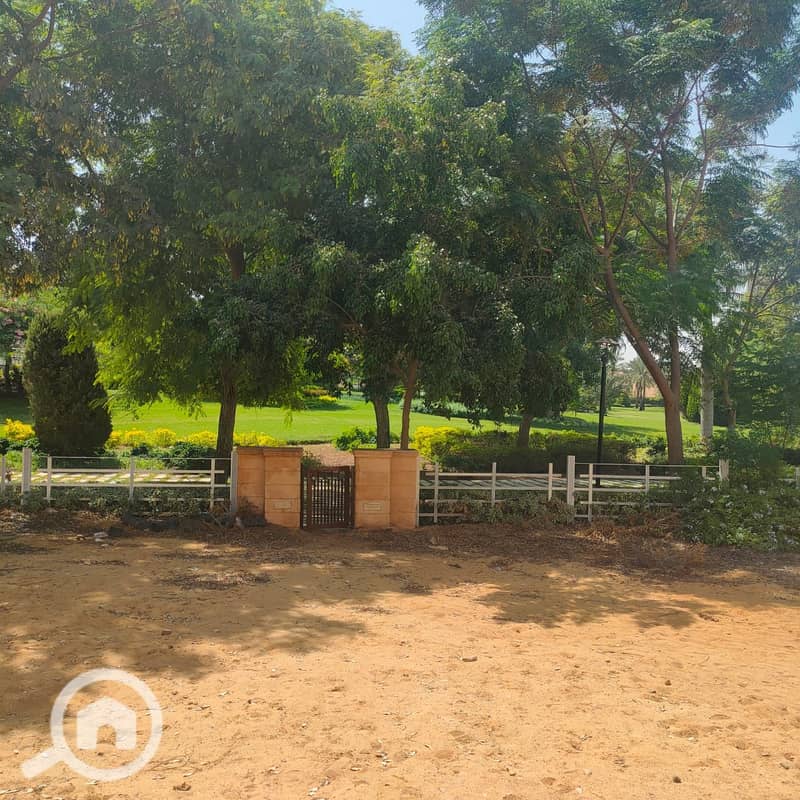 17 صورة واتساب بتاريخ 1446-03-13 في 14.19. 44_5652237c. jpg