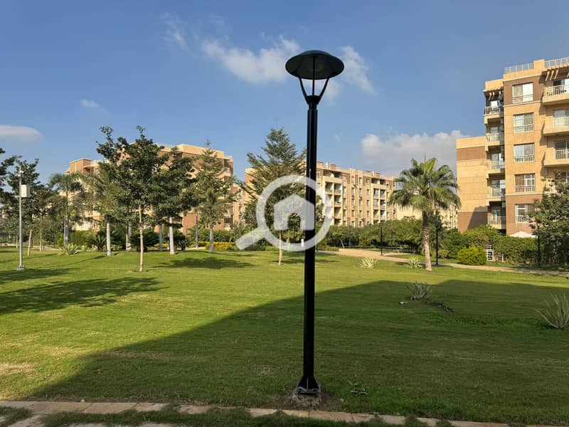 2 motion_photo_11019414399739134. jpg