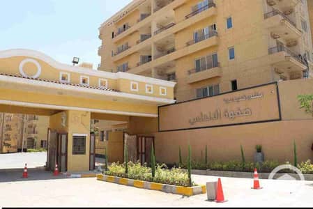 فلیٹ 3 غرف نوم للايجار في القاهرة الجديدة، القاهرة - 1000159866. jpg