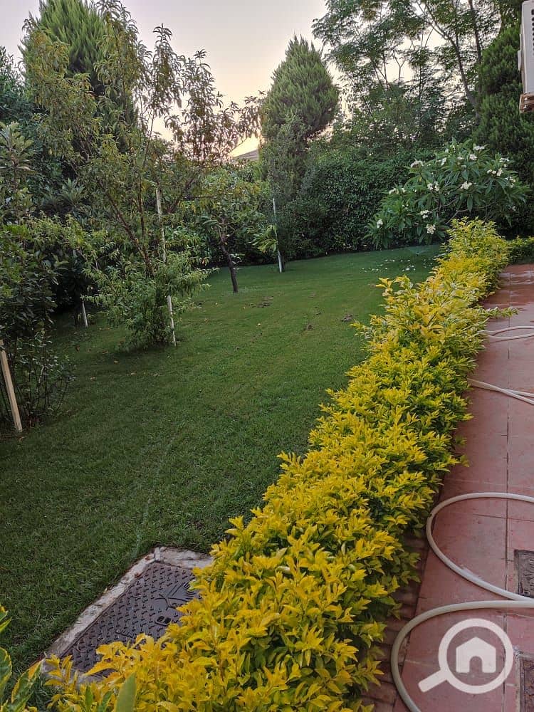 10 97d9d7b0-b820-4374-a5ac-8a981004edd3. jpg