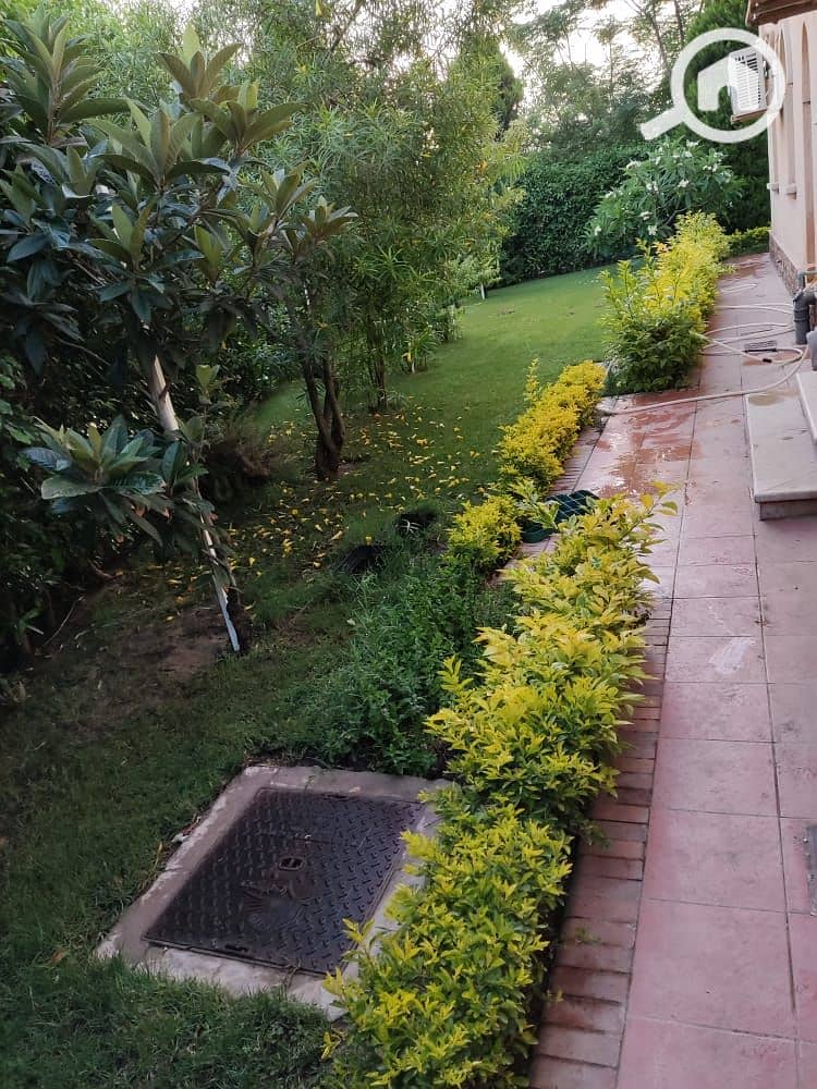 12 528dd84e-798c-4a1f-bd6c-5c441787f4dc. jpg