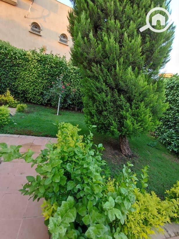 17 851015ef-0fe8-4971-af0b-bcef040d07f2. jpg