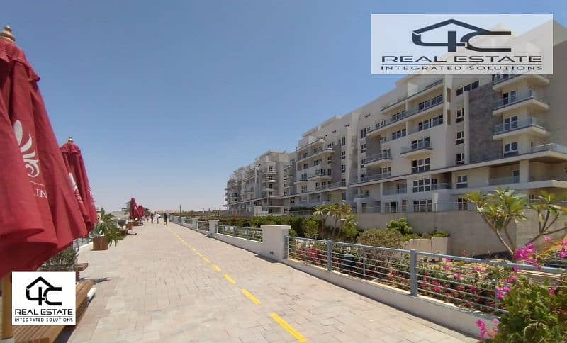 2 4e0034d2-fa99-42bd-a38c-7241e361b059. jpg