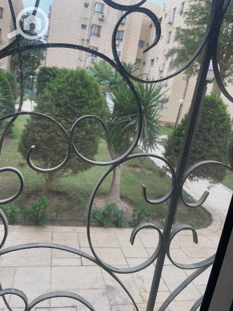 11 ff923b78-ed9d-462d-abcd-eb0bab9650c5. jpeg