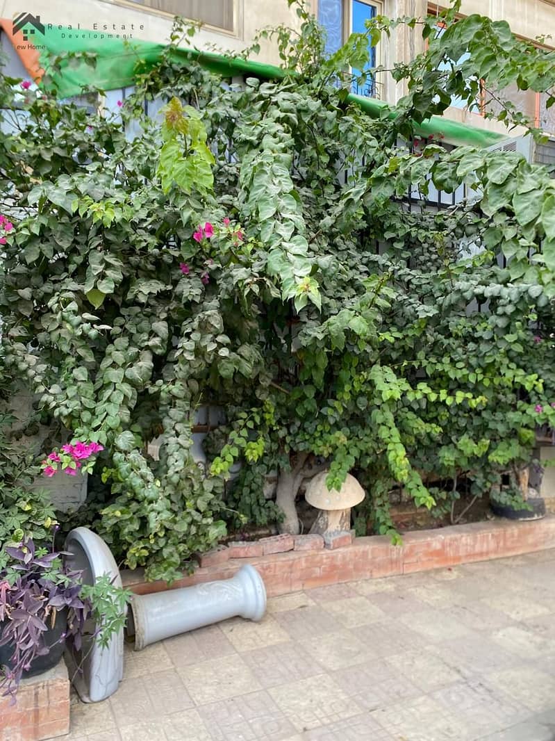 6 WhatsApp Image 2025-12-14 at 12.35. 48_468ca691. jpg