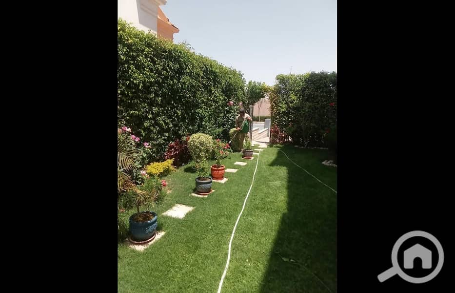 3 WhatsApp Image 2025-05-02 at 13.49. 15_fecc9029. jpg