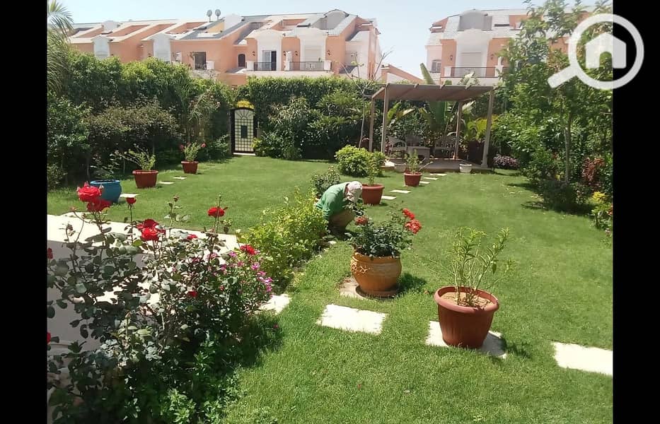 6 WhatsApp Image 2025-05-02 at 13.49. 17_f6cda3c1. jpg