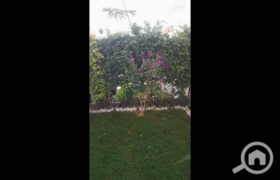 8 WhatsApp Image 2025-05-02 at 13.49. 19_11a23c6f. jpg