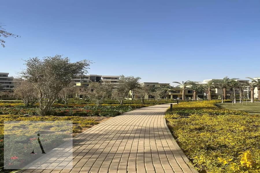 4 WhatsApp Image 2025-06-02 at 4.26. 18 PM (4). jpeg