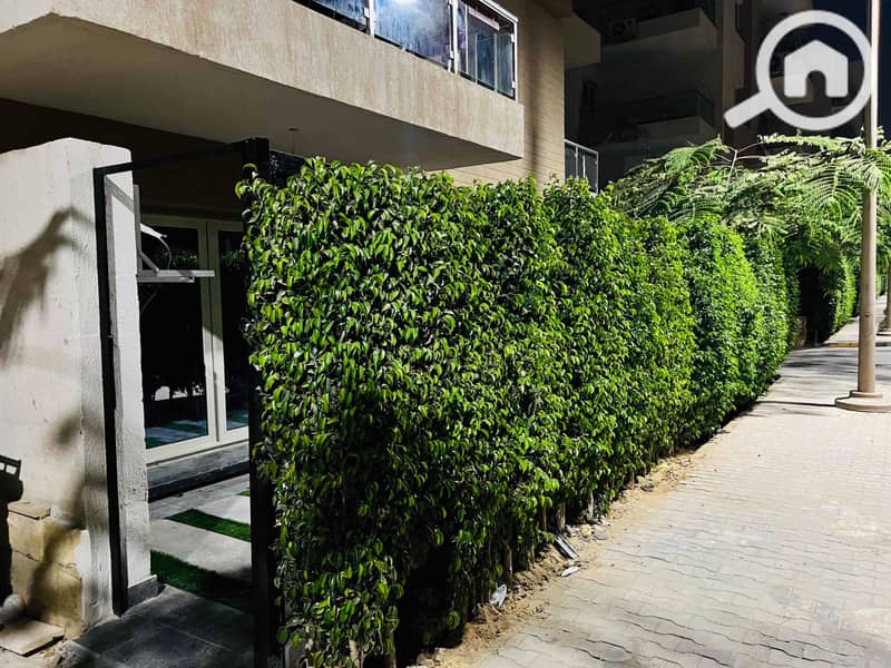 21 34244df4-1064-4826-b708-a37915f87657. jpg