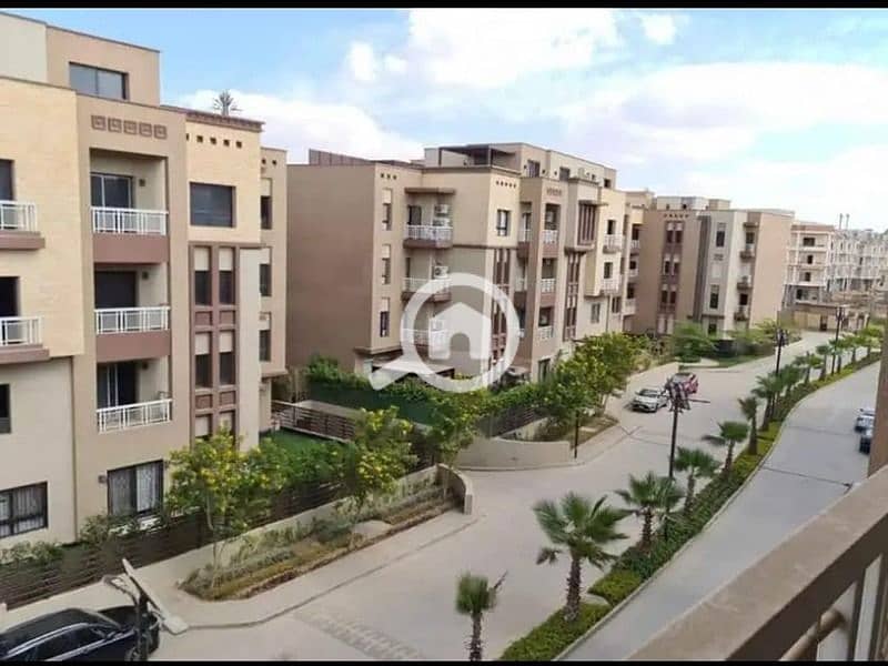 3 WhatsApp Image 2025-02-27 at 00.39. 24_d6162611. jpg