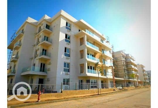 3 10f40a87-b24f-11ef-a8f0-2643f0c8b3a7. jpeg