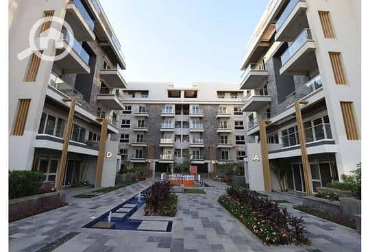 5 1134e516-b24f-11ef-b242-f6fa4ef6522f. jpeg