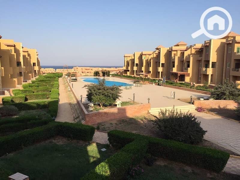 11 464494806_8293567357432735_144866247370864637_n. jpg