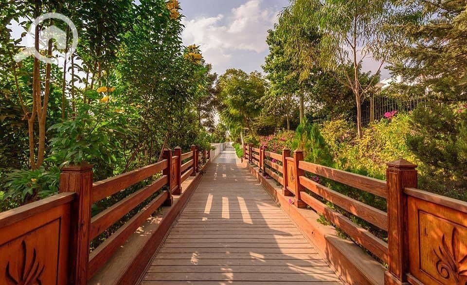 7 WhatsApp Image 2025-06-17 at 2.00. 46 PM. jpeg