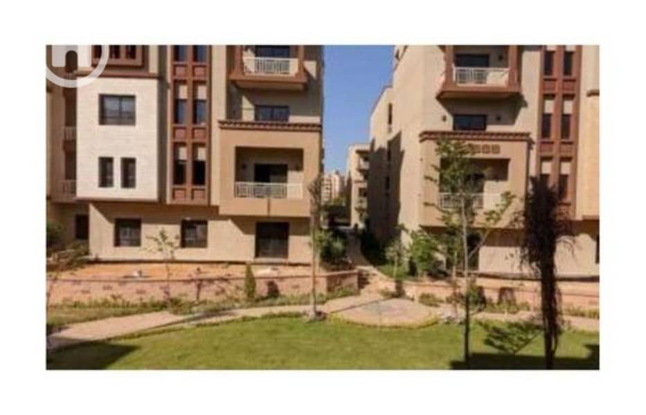 7f1a2404-f2b0-11ef-925c-628efce9aeb2. jpg 7f1a2404-f2b0-11ef-925c-628efce9aeb2. jpg