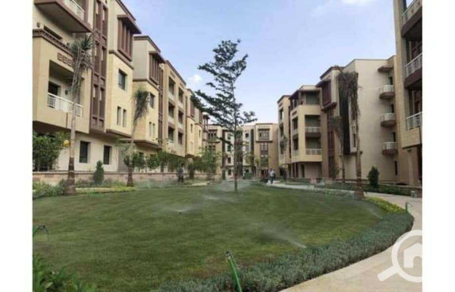 3 80db61d0-f2b0-11ef-80af-6e98d4e18bc2. jpg