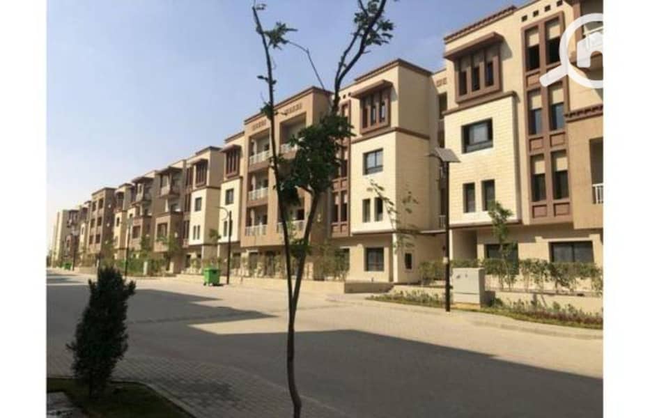 10 8143304e-f2b0-11ef-b74e-dec5a265a425. jpg