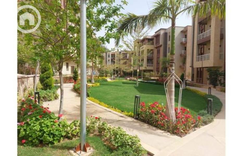 11 82604188-f2b0-11ef-b74e-dec5a265a425. jpg