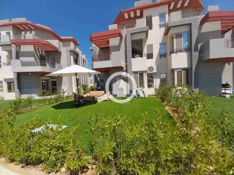 1000602546. jpg 1000602546. jpg