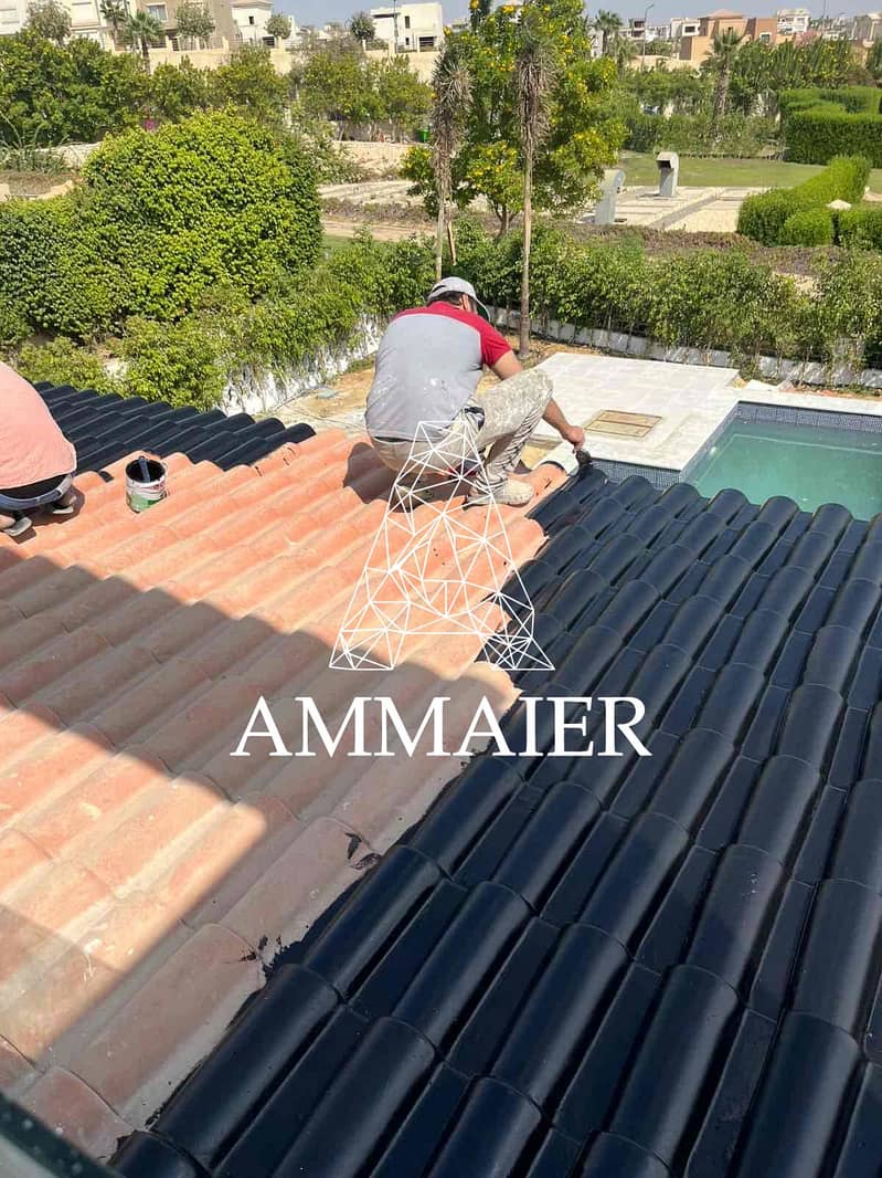 7 a52b501e-213e-4b7a-bf57-97da2f3f53f8. jpg