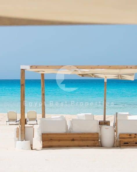 4 589904941_850429871278550_7454681317845225638_n. jpg