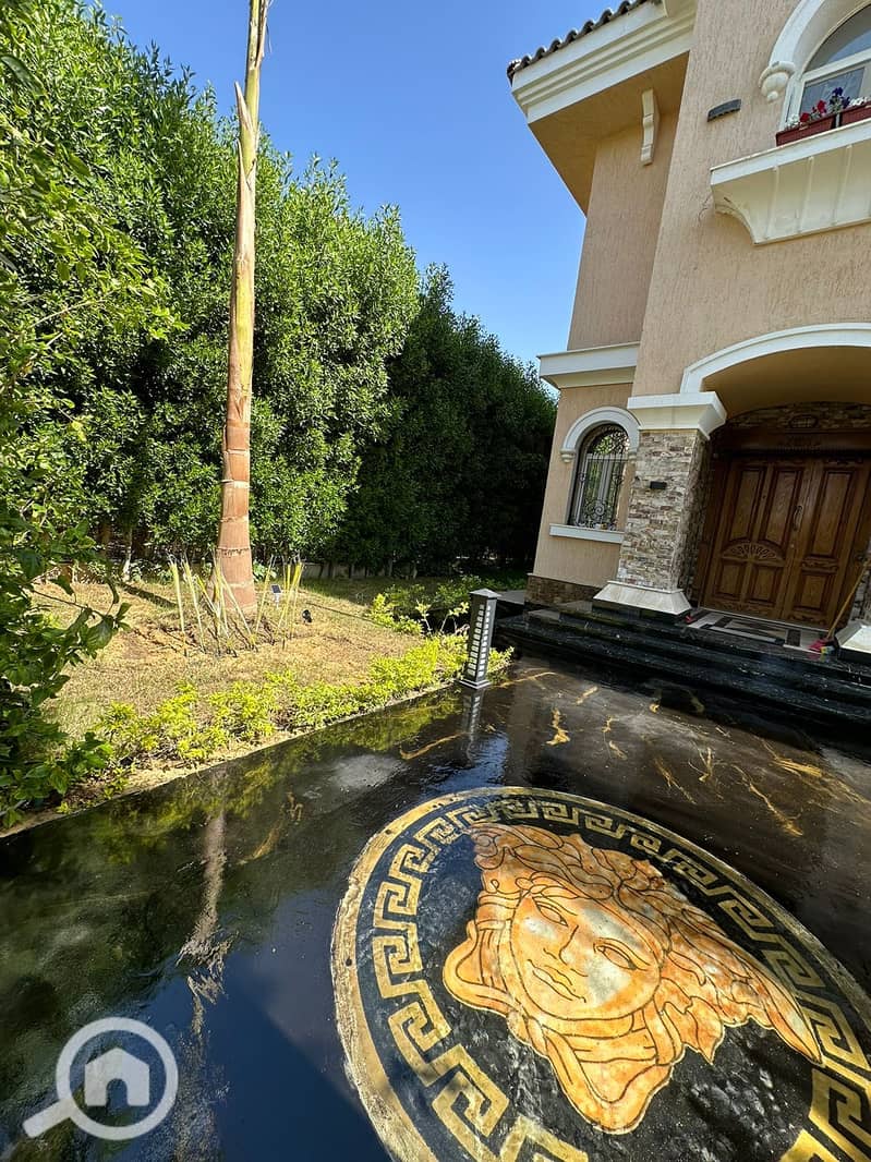 2 6defabde-be4f-4069-81a6-25992a243506. jpeg