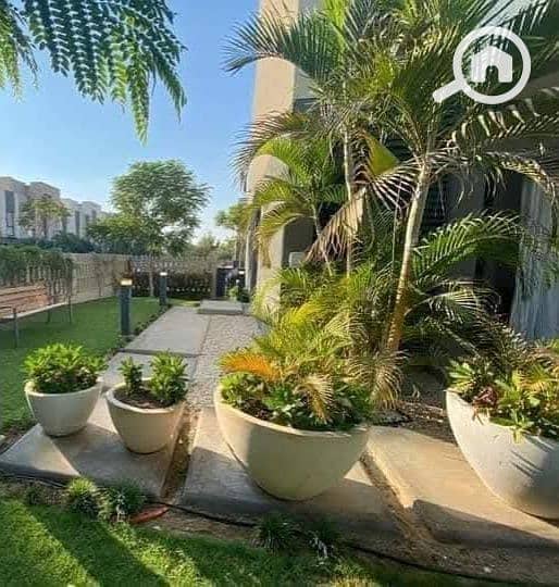 2 1486d1b9-3c68-4159-8e74-cc2853ef59ff. jpg