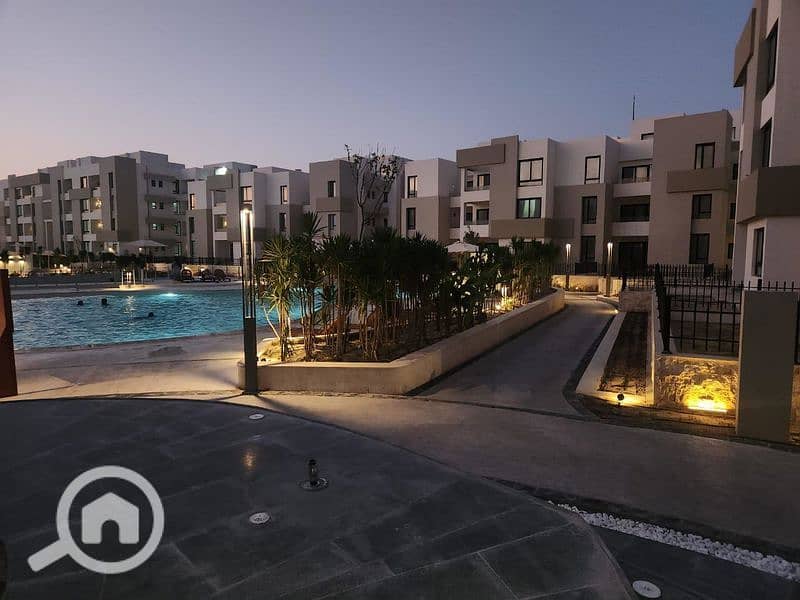 3 زهرههه                                    _800x600. jpg