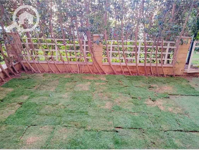 1000074000. jpg 1000074000. jpg