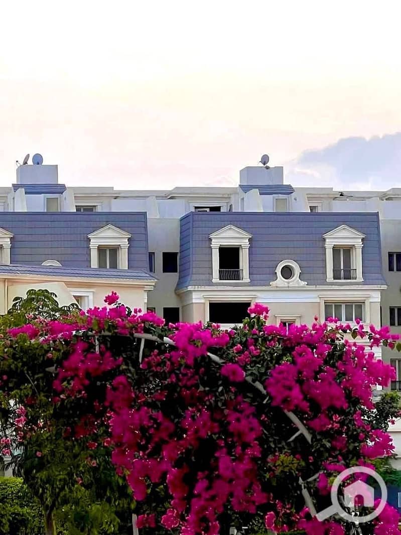 8 86120206-c215-42da-be75-40af99392079. jpg