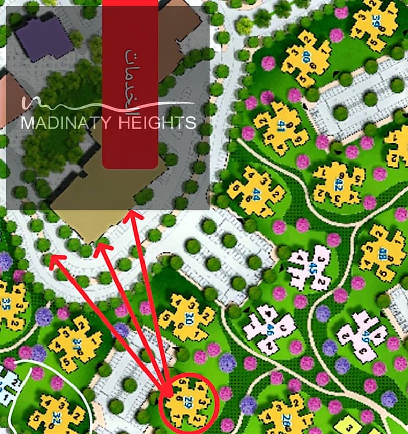 3 WhatsApp Image 2025-12-13 at 13.58. 35_27bde434. jpg