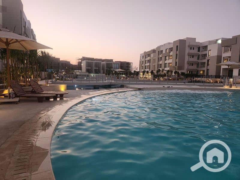 8 زهرههه _800x600. jpg